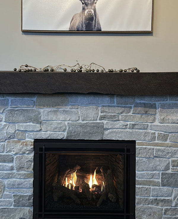 Gas & Electric Fireplaces