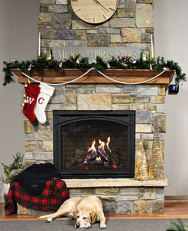 Gas & Electric Fireplaces